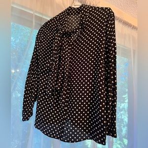 ZARA Polkadot Dream Blouse